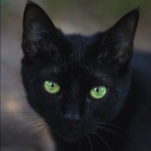 Meet your Posher, Marlon